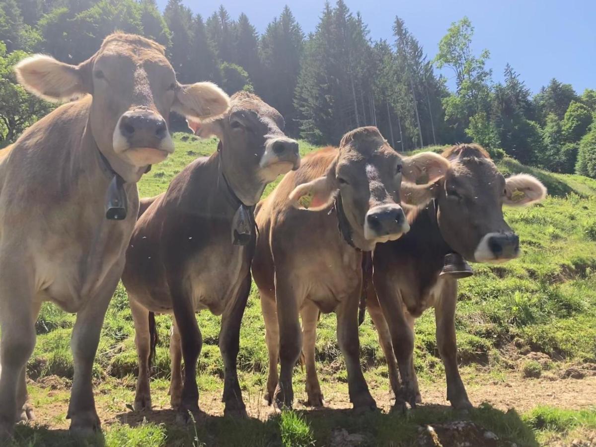 Haus Hagspiel Villa Hittisau Eksteriør bilde