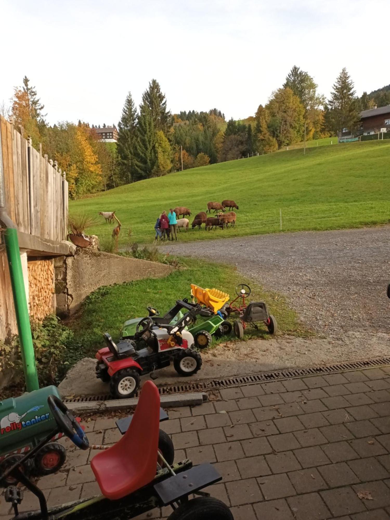 Haus Hagspiel Villa Hittisau Eksteriør bilde