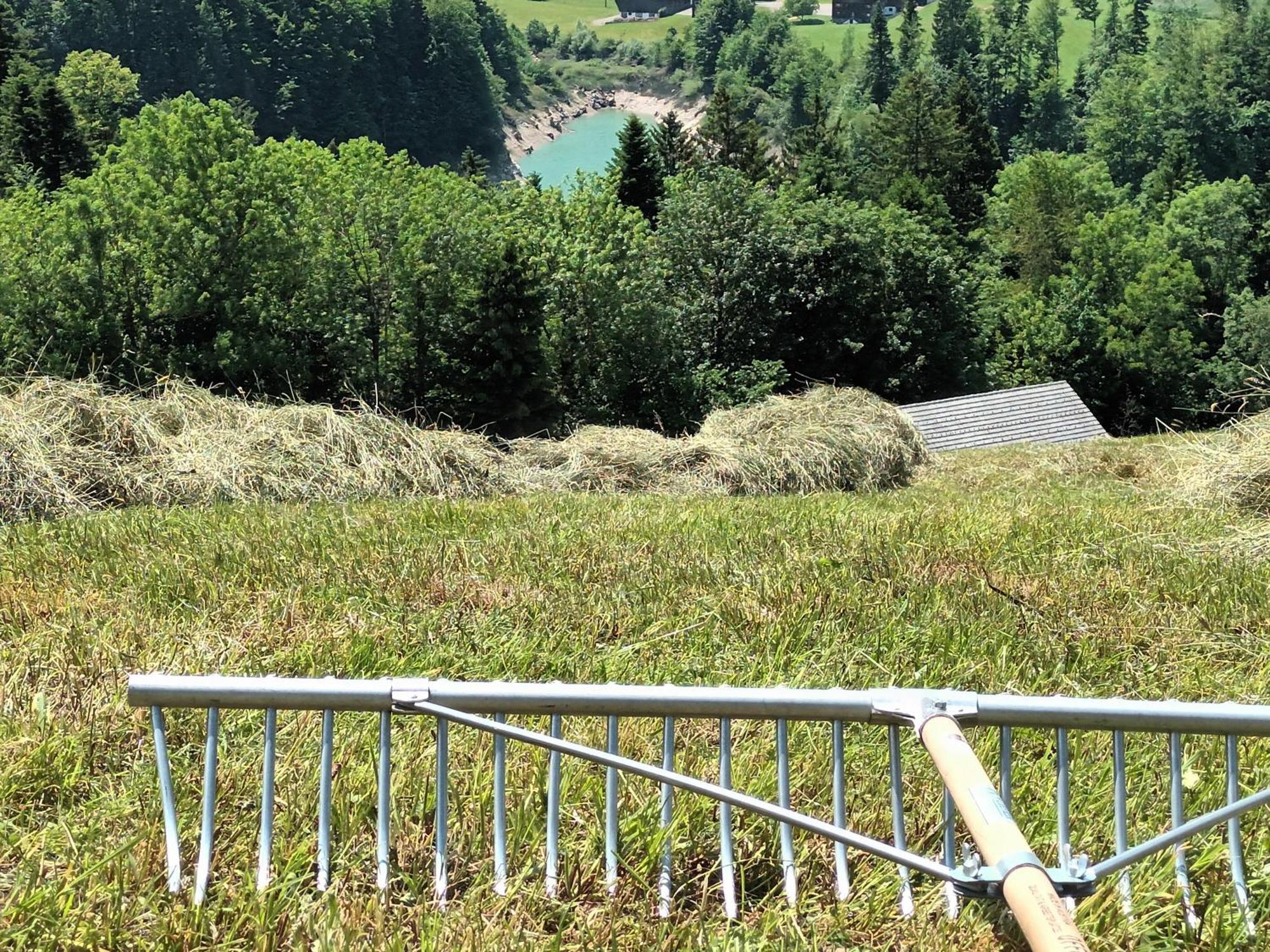 Haus Hagspiel Villa Hittisau Eksteriør bilde