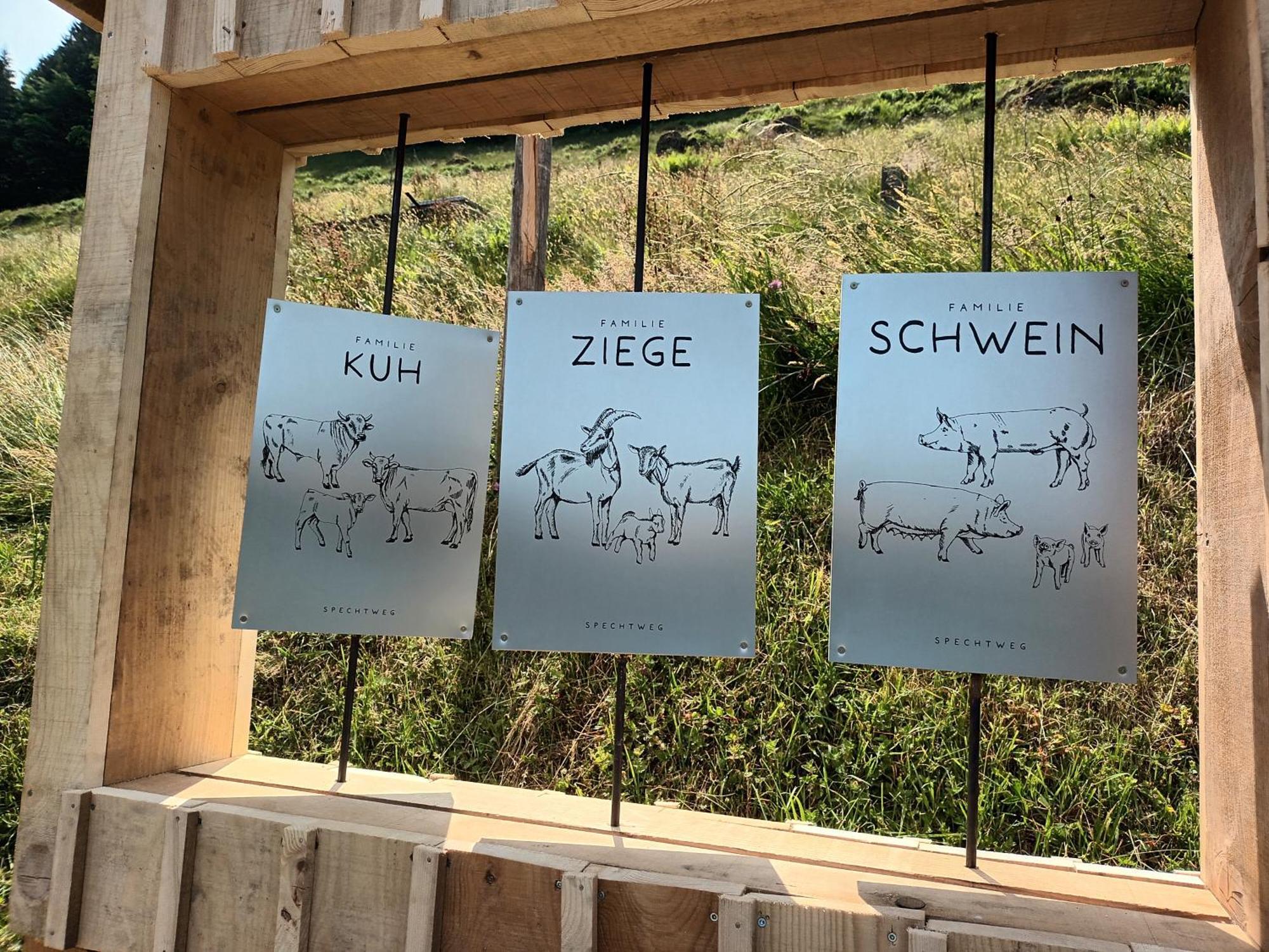 Haus Hagspiel Villa Hittisau Eksteriør bilde