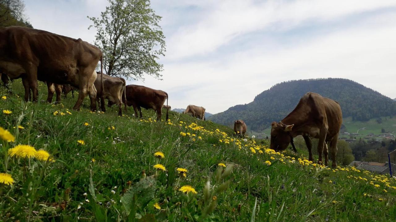 Haus Hagspiel Villa Hittisau Eksteriør bilde